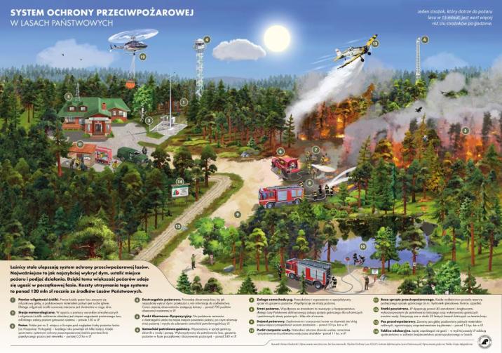 System&#x20;ochrony&#x20;przeciwpożarowej&#x20;lasów&#x2c;&#x20;infografika&#x20;Lasów&#x20;Państwowych