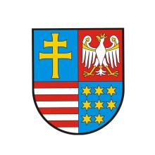 Ankieta preferencji przewozowych