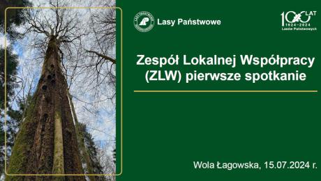Zespół Lokalnej Współpracy