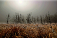 Światowy Dzień Mokradeł 2026